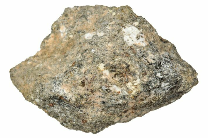 Howardite Meteorite ( g) - Bechar #348290